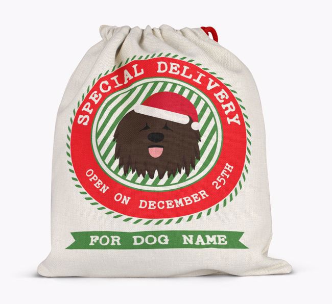 Special Delivery: Personalised {breedFullName} Santa Sack